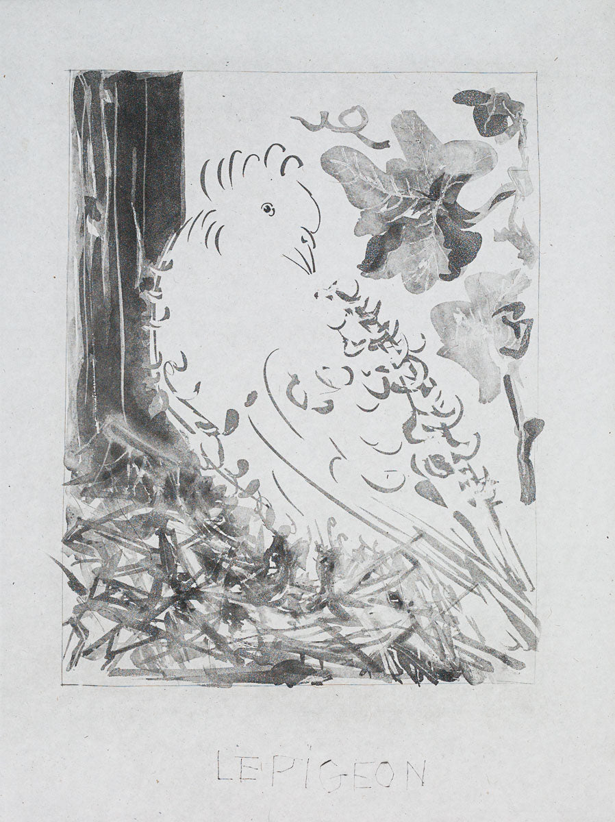 The Pigeon, 1942 (Histoire Naturelle - Textes de Buffon, B.347) by Pablo Picasso