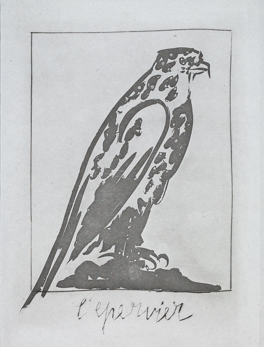 The Sparrow Hawk, 1942 (Histoire Naturelle - Textes de Buffon, B.342) by Pablo Picasso