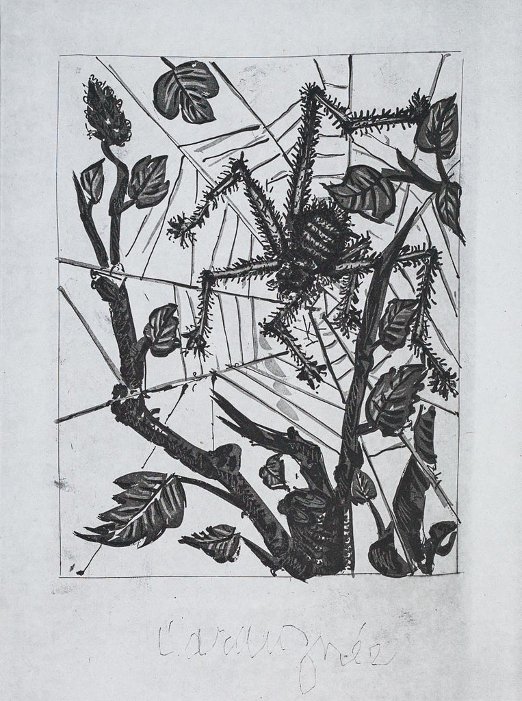 The Spider, 1942 (Histoire Naturelle - Textes de Buffon, B.353) by Pablo Picasso