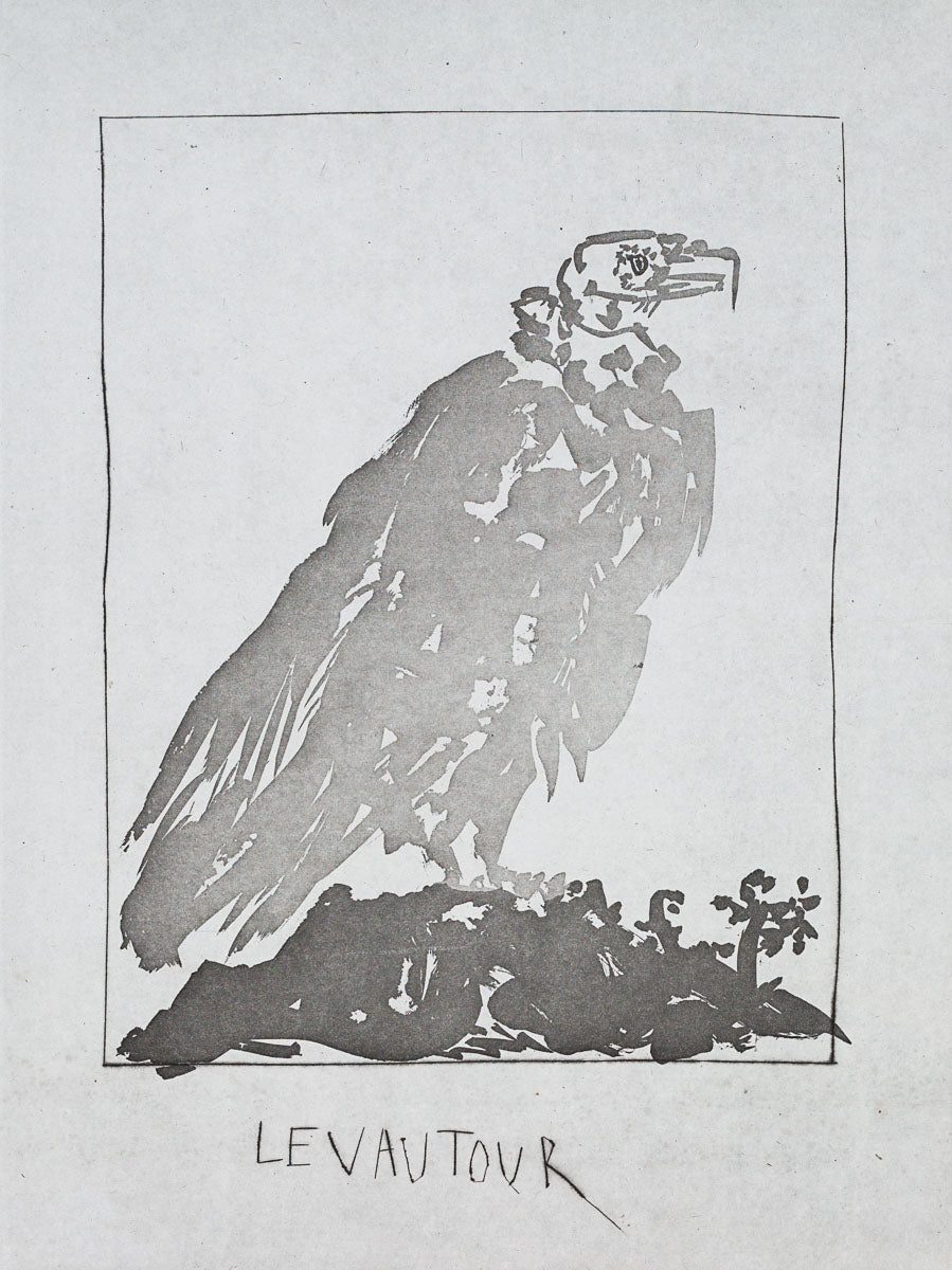 The Vulture. 1942 (Histoire Naturelle - Textes de Buffon, B.341) by Pablo Picasso
