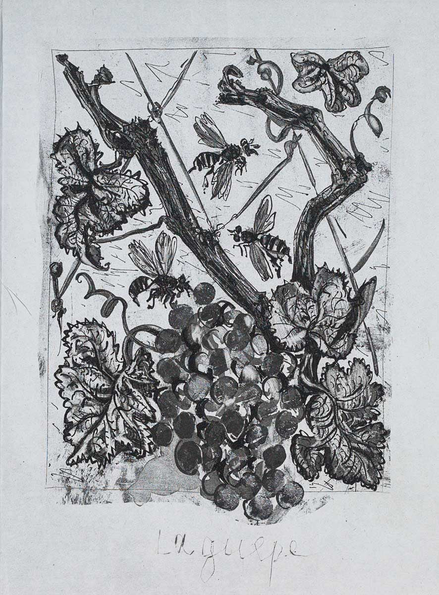 The Wasp, 1942 (Histoire Naturelle - Textes de Buffon, B.351) by Pablo Picasso