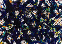 Untitled (SF77-092), 1977 by Sam Francis