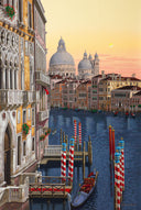 Santa Maria della Salute, 2008