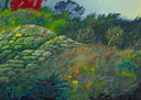 Seasons of Light, 2003