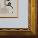 Hell Canto 18 (The Divine Comedy), 1959-1964