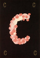 Letter C, 1976