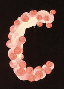 Letter C, 1976