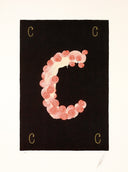 Letter C, 1976