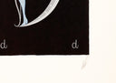 Letter D, 1976
