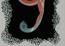Numeral 9, 1980