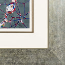 120 - DOB: Myxomycete, 2016