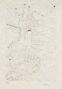Mad Tristan (Tristan and Iseult, Plate S), 1970