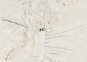 Mad Tristan (Tristan and Iseult, Plate S), 1970