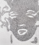 Reversal Grey Marilyn (Pictures of Diamond Dust), 2003