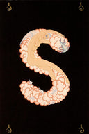 Letter S, 1976