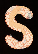 Letter S, 1976