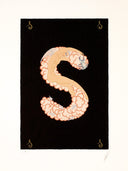 Letter S, 1976