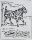 The Dog (Histoire Naturelle - Textes de Buffon, B.334), 1942