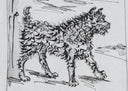 The Dog (Histoire Naturelle - Textes de Buffon, B.334), 1942