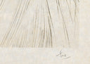 The Queen with Silk Tunic (Tristan and Iseult, Plate N), 1970