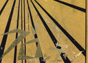 Untitled (Canary Yellow and Black Butterfly 830), 2010
