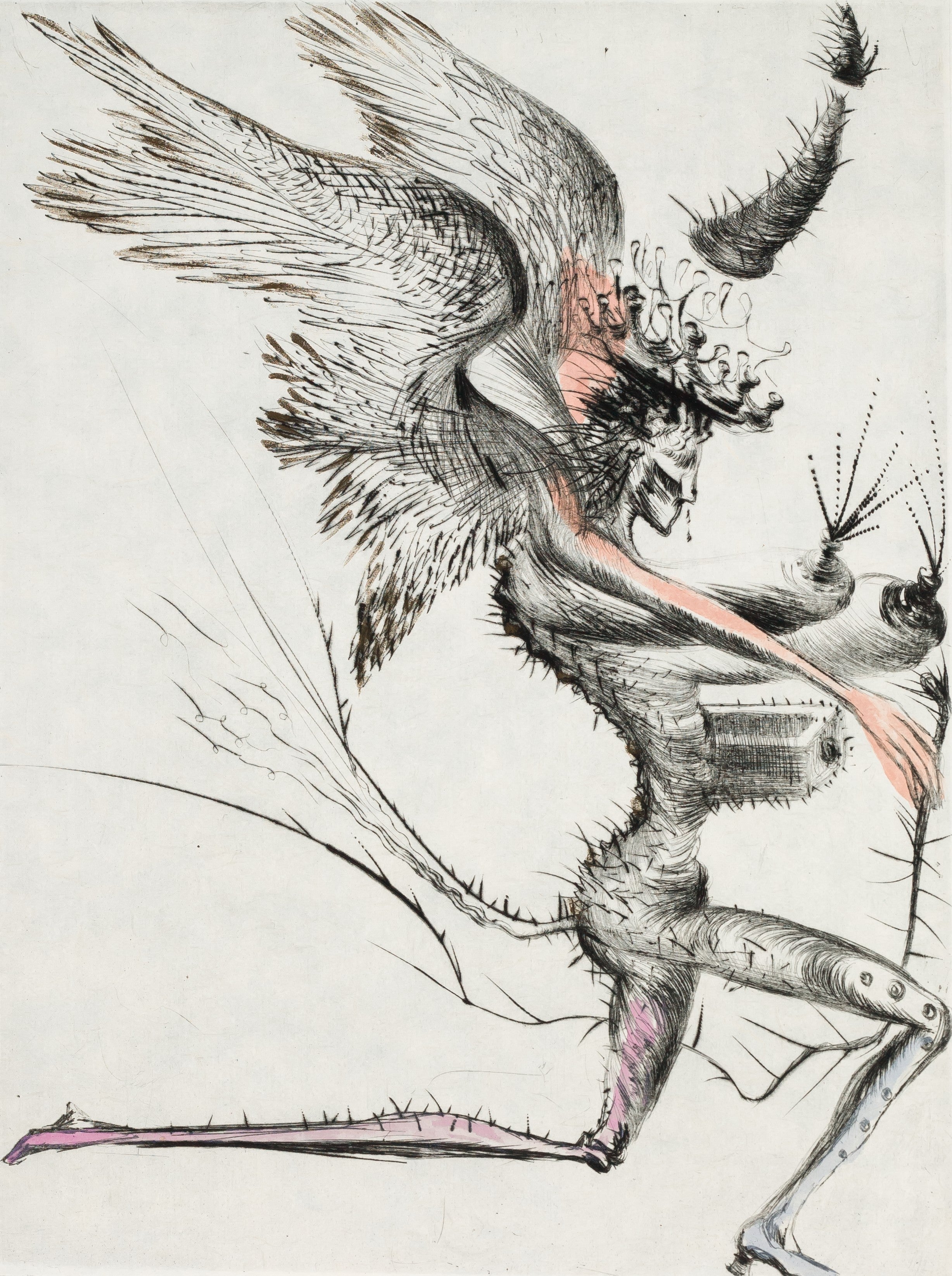 Winged Demon (Venus in Furs), 1969 by Salvador Dali | Martin