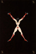 Letter X, 1976