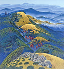 Carmel Canyon