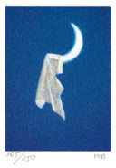 Moon Catch, 2000