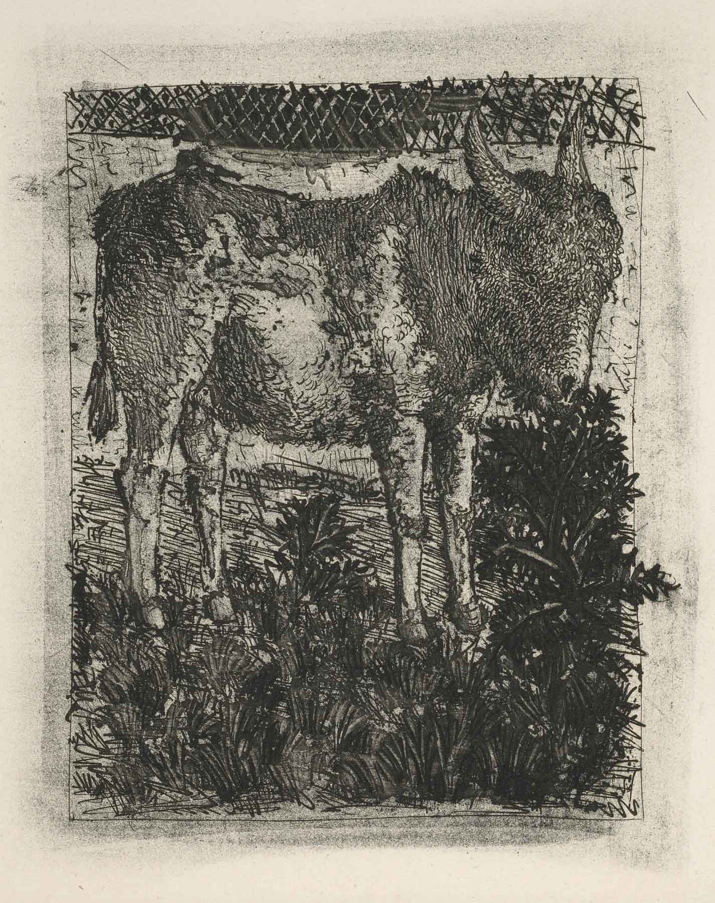 The Donkey (Histoire Naturelle - Textes de Buffon, B.329)