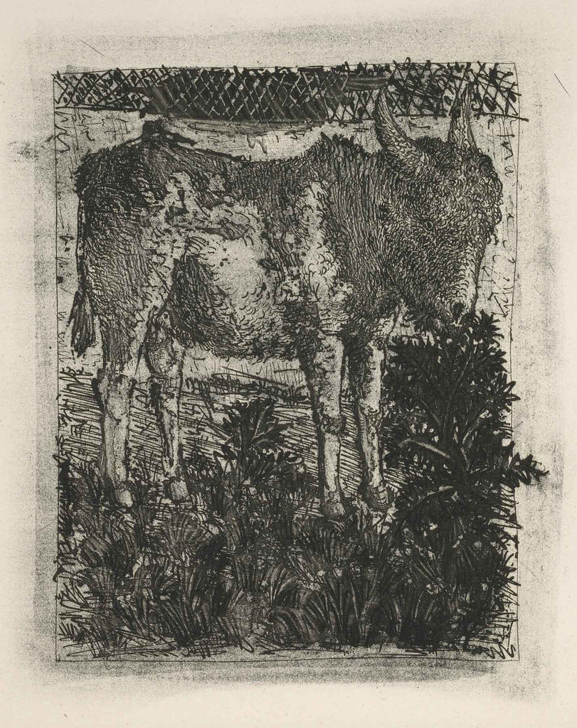 499 - The Donkey (Histoire Naturelle - Textes de Buffon, B.329)