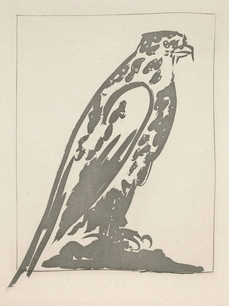 504 - The Sparrow Hawk (Histoire Naturelle - Textes de Buffon, B.342)