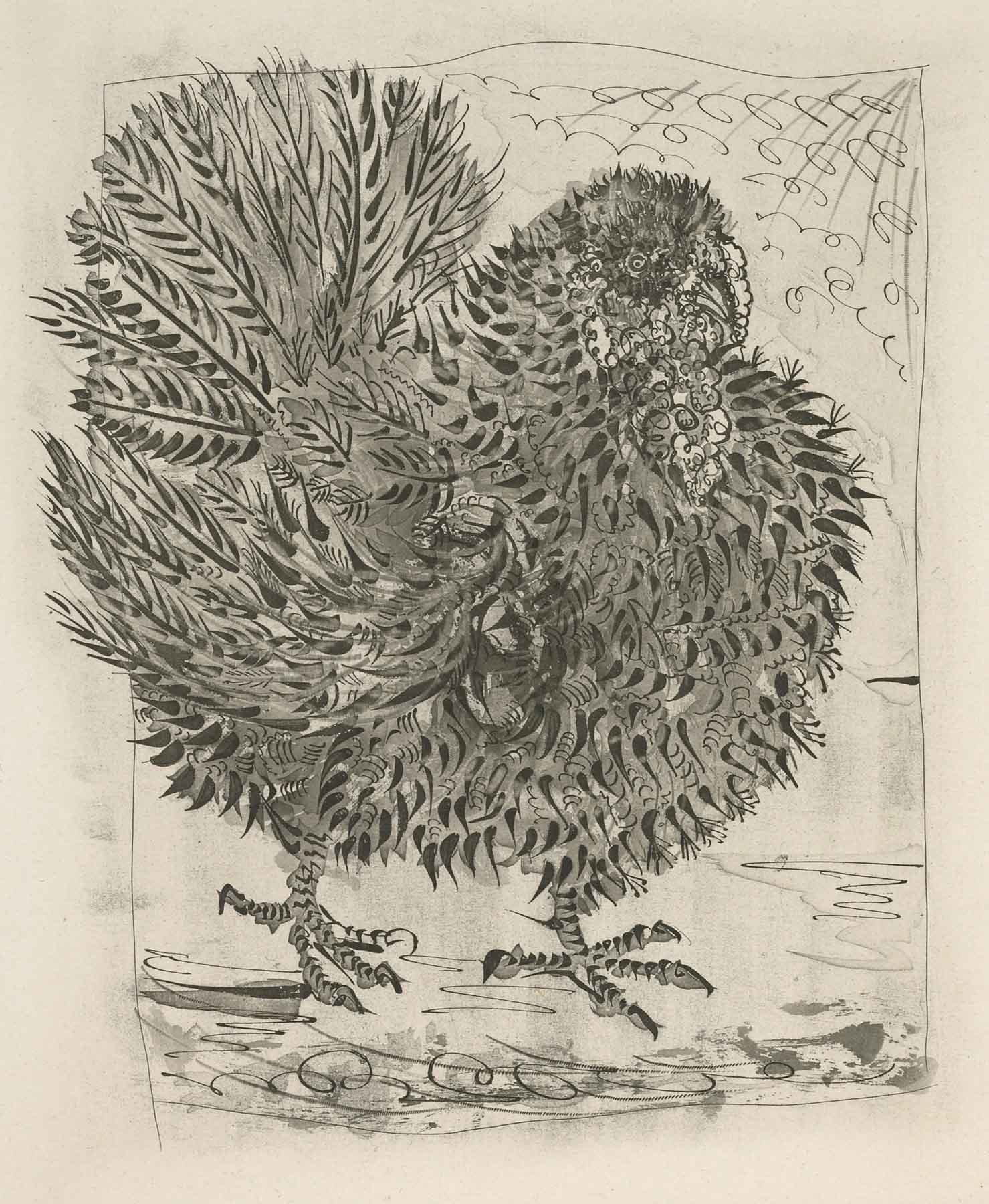 The Turkey (Histoire Naturelle - Textes de Buffon, B.346)