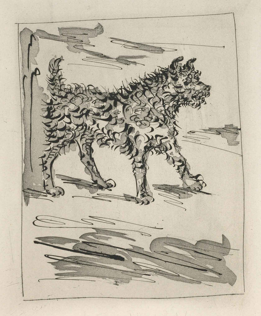 The Dog (Histoire Naturelle - Textes de Buffon, B.334) by Pablo Picasso