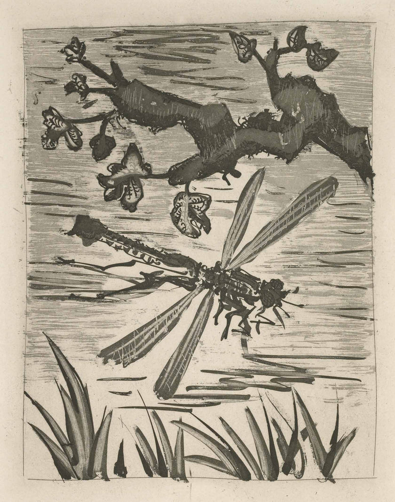 The Dragonfly (Histoire Naturelle - Textes de Buffon, B.354) by Pablo Picasso