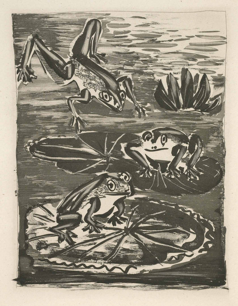 The Frog (Histoire Naturelle - Textes de Buffon, B.357) by Pablo Picasso