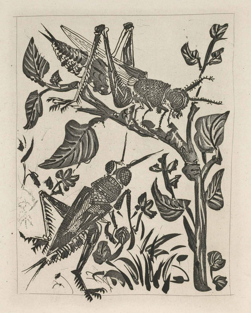 The Grasshopper (Histoire Naturelle - Textes de Buffon, B.358) by Pablo Picasso