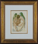 Purgatory Canto 1 (The Divine Comedy), 1959-1964