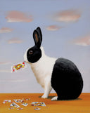Jack Rabbit, 2012