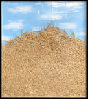 Needle in a Haystack, 2019