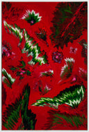 Habitat Floriography (Deep Red) by Robert Standish framed