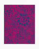 Untitled (Pink and Blue)