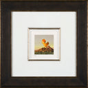 Fanny-Brennan-Orange-Shell