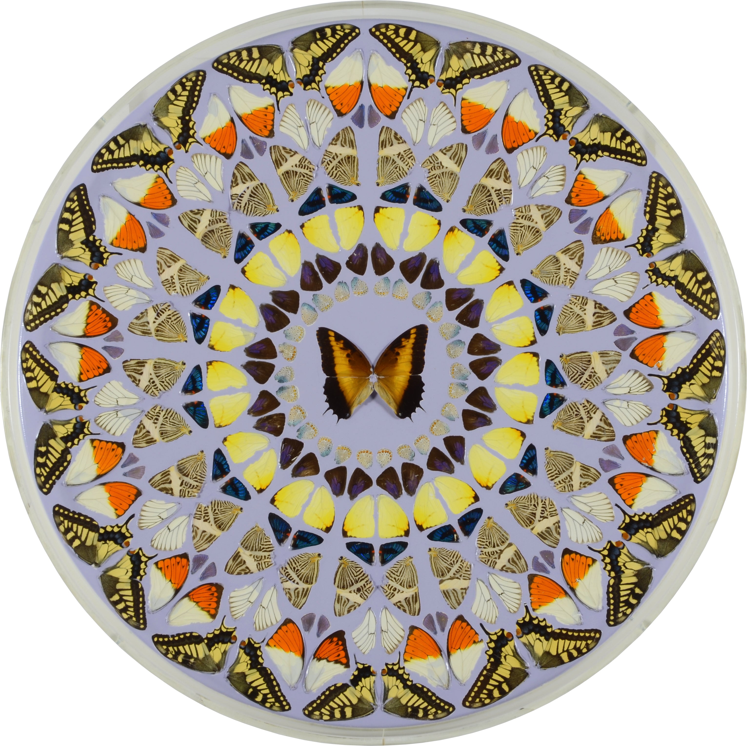 damien_hirst_psalm_107_confitemini_domino_2008